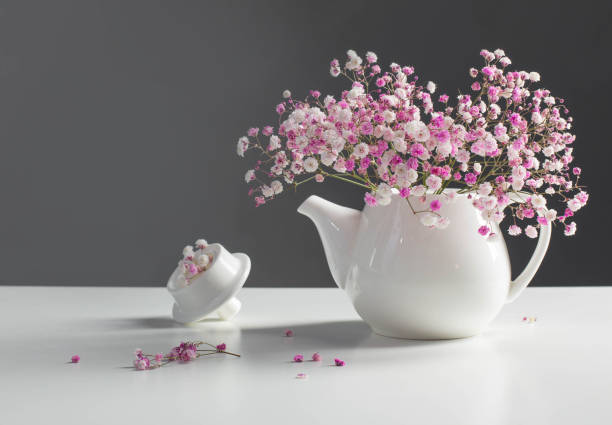 Spring tree branches with first green leaves in ceramic vase on white background.