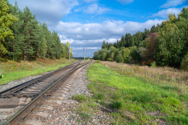 istock Railway in the autumn forest during the day 1366904240