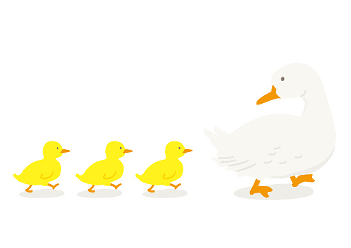 Illustration of a duck parent and child walking side by side