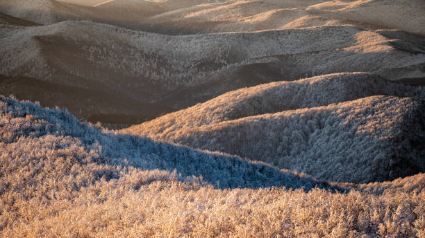 istock Winter mountain landscape. Bieszczady Mountains, Poland. 1366904521