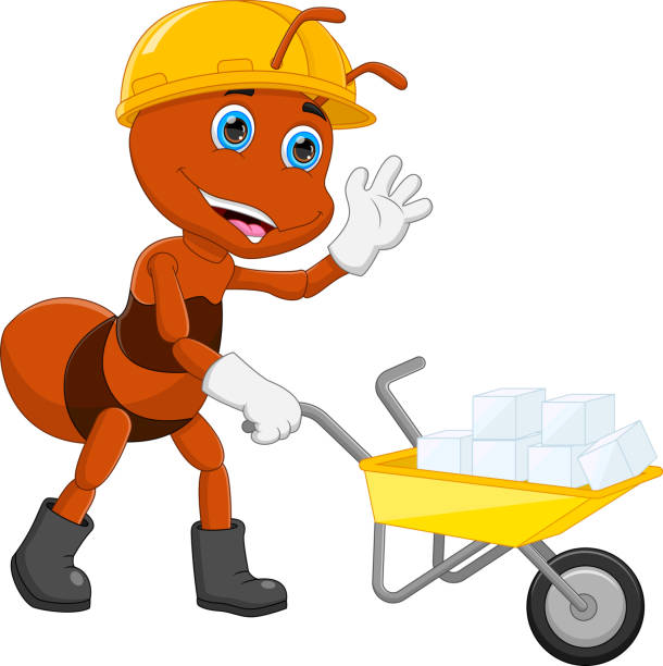 ants carry a lot of sugar in the wheelbarrow vector illustration of ants carry a lot of sugar in the wheelbarrow ants teamwork stock illustrations