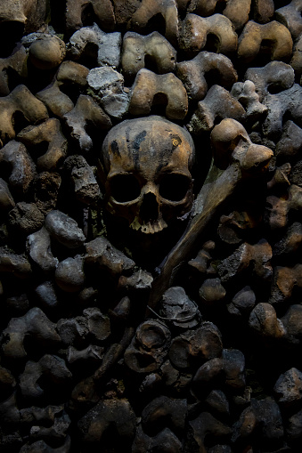 Bones in the Catacombs in Paris