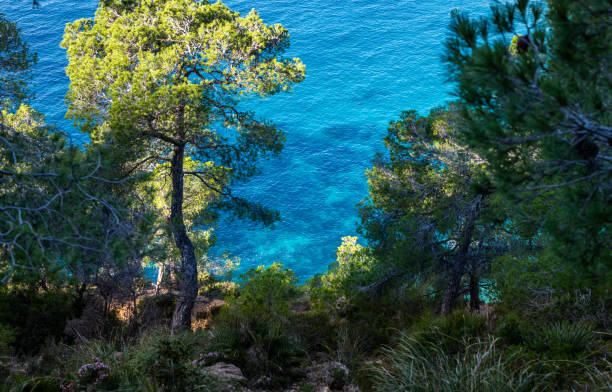 hiking and exploring on the shores of a rocky island with its vegetation and rocky cliffs