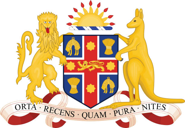 Coat of arms of NEW SOUTH WALES, AUSTRALIA Official current vector coat of arms of the Australian state of NEW SOUTH WALES, AUSTRALIA new south wales stock illustrations