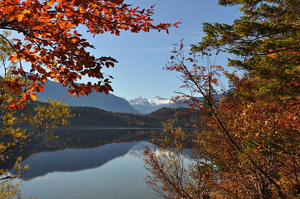 istock autumn lake in austria 136691400