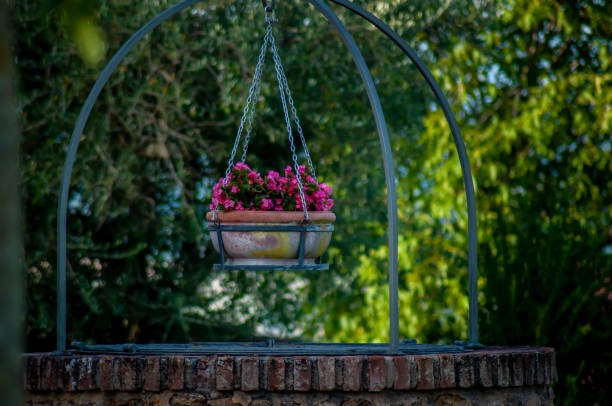 Pink flowers in a hanging basket hanging over a well at HPB Stigliano, Tuscany. A hanging basket of pink flowers hangs on a metal frame over a brick entrance to a well with sunlit trees in the blurred background garden feature stock pictures, royalty-free photos & images