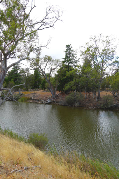 istock Horsham,  Victoria, Australia 1366915404