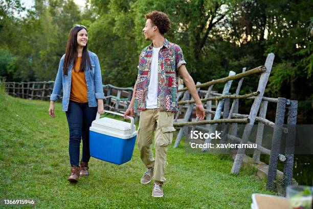 Young Friends Carrying Cooler While Camping In Woodland Area Stock Photo - Download Image Now