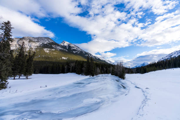 istock Beautiful scenery in Banff National Park, Alberta, Canada. 1366917825