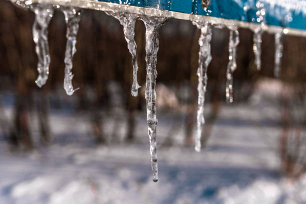 istock Icicles hanging with sun rising behind in a forest 1366918012