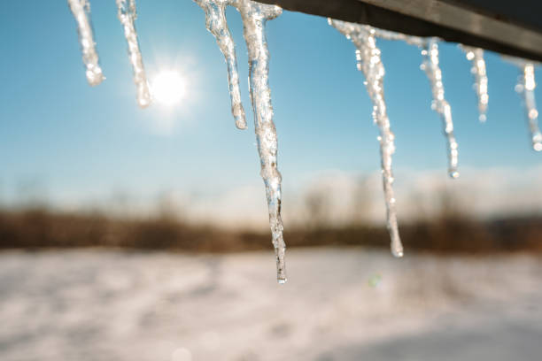 istock Icicles hanging with sun rising behind in a forest 1366918023