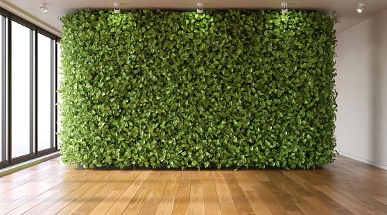 Living room with green walls. Eco-style in interior, vertical garden