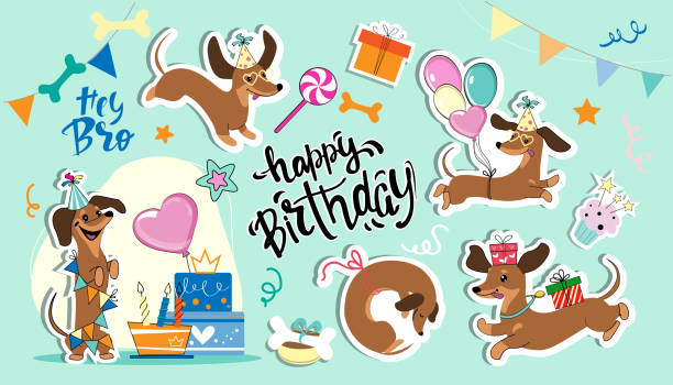 ilustraciones, imágenes clip art, dibujos animados e iconos de stock de colección de pegatinas de perros salchicha y artículos de cumpleaños. ilustración vectorial de dibujos animados - dachshund