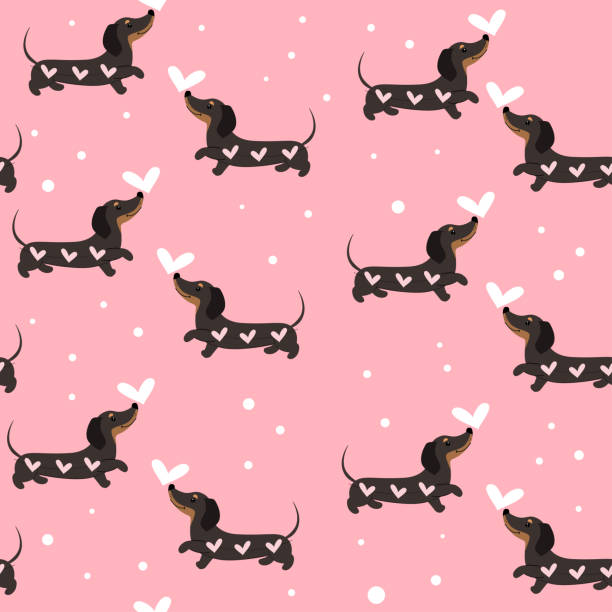 ダックスフント犬とハートピンクの背景にシームレスなパターン。バレンタインデー。ベクトルの図 - animal backgrounds canine dachshund点のイラスト素材／クリップアート素材／マンガ素材／アイコン素材