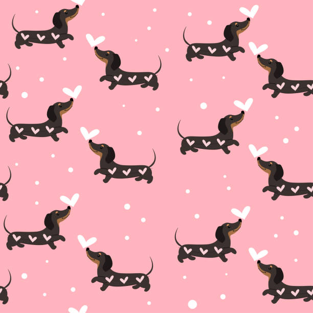 분홍색 배경에 닥스 훈트 개와 마음 원활한 패턴. 발렌타인. 벡터 일러스트레이션 - dachshund stock illustrations
