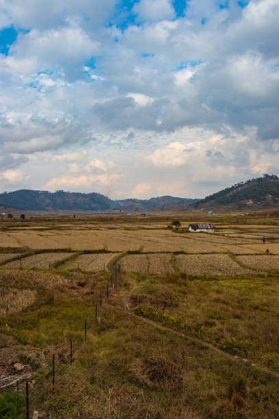 istock yellow grass countryside farming fields surrounded with mountain and bright blue sky at morning 1366925867