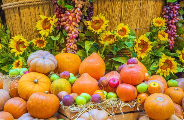 istock harvest of pumpkins and apples 1366926020