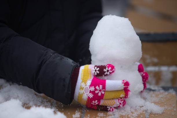 istock Snowfall in Chandragiri Hills 1366927324