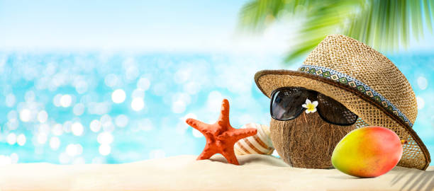 istock Summertime vacation concept. Happy Tropical holidays background 1366927333