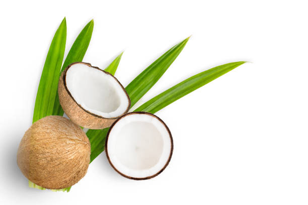 Coconut fruit and half slices with green leaves isolated on white Coconut fruit and half slices with green leaves isolated on white background. Top view. Flat lay. fruit of coconut tree stock pictures, royalty-free photos & images