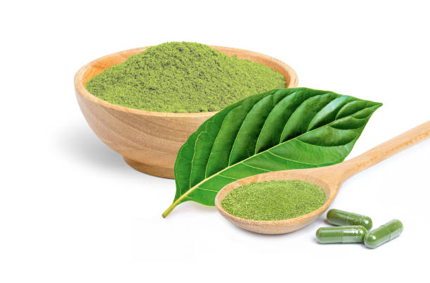 čerstvé zelené listy kratomu (mitragyna speciosa) s kratomovým práškem bylinné kapsle - kratom - stock snímky, obrázky a fotky