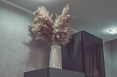 trockenes-schilfgras-steht-in-stilvoller-vase-auf-holzregal-gegen-graue-wand.jpg?b=1&s=170x170&k=20&c=lYl6-Kp2DCp3PlVU7uzxLsuOzXERf-Jg06rl_H1D3XY=