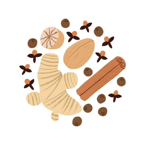 illustrazioni stock, clip art, cartoni animati e icone di tendenza di mix di spezie di zucca. miscela di condimento di pan di zenzero con ingredienti piccanti. - cinnamon stick spice food