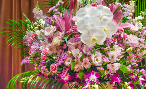 Close up of beautiful sphere shape flower and pink orchid in white pot isolated on white background with copy space on right