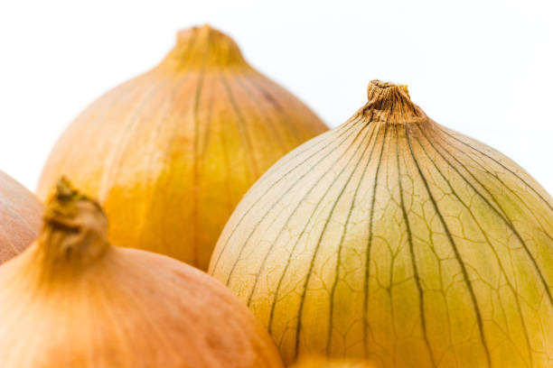 istock Onion bulbs in seedling tray close up on white background. Onion texture background. Nature wallpaper with onion skin pattern 1366934746