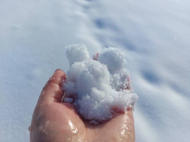 istock Woman holding snow ball with bare hand 1366934816