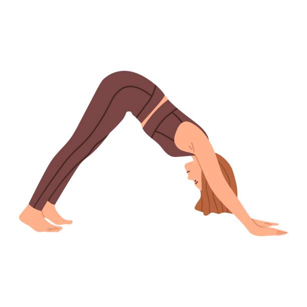 660+ Downward Dog Yoga Pose Stock Illustrations, Royalty-Free