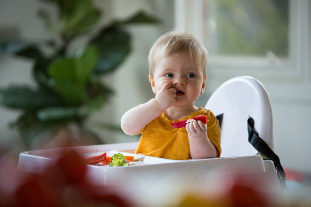 赤ちゃん健康的な食事 - 生後6ヶ月から11ヶ月 ストックフォトと画像