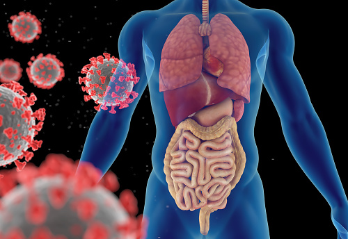 3D illustration of a virus infection (coronavirus, viral pneumonia or influenza) and the risks of complications for the human body. Front view. Isolated on black background. Great to be used in medicine works and health.