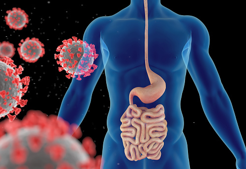 3D illustration of a virus infection (coronavirus, viral pneumonia or influenza) and the risks of complications for the digestive system (stomach, esophagus, small intestine). Front view. Isolated on black background. Great to be used in medicine works and health.