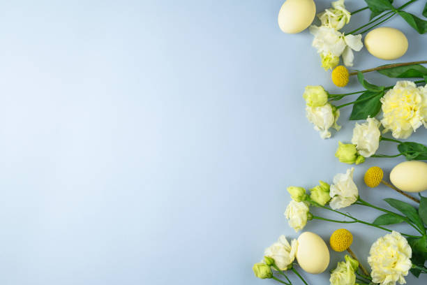 istock Coloured yellow eggs and various white flowers on light blue background. Festive Easter layout in pastel colors. Spring holiday composition. Flowers and chicken eggs flat lay. Copy space, top view 1366943280