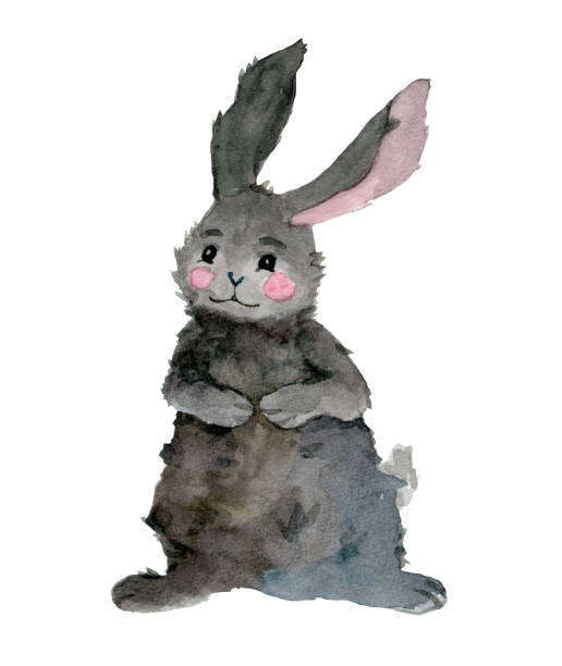 graues kaninchen sitzt allein und lächelt isoliert. - rabbit pets baby rabbit white background stock-grafiken, -clipart, -cartoons und -symbole