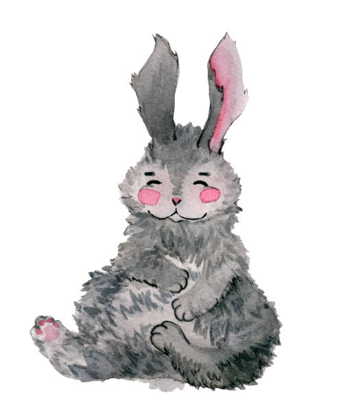 graues kaninchen sitzt allein und lächelt isoliert. - rabbit pets baby rabbit white background stock-grafiken, -clipart, -cartoons und -symbole