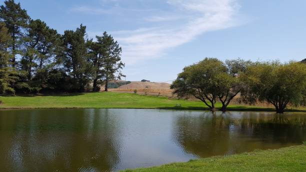 istock Natural Scenery in California 1366945050
