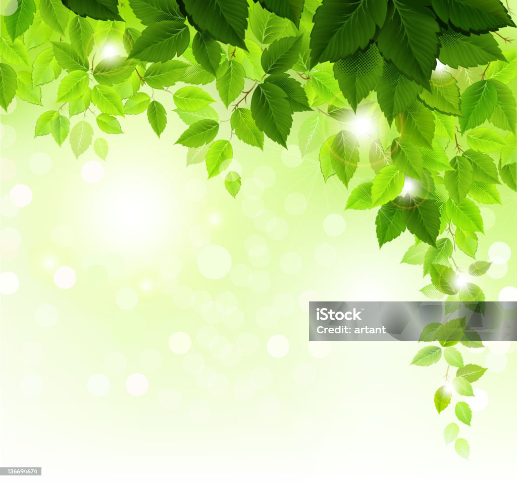 Sommer-Filiale mit frischen grünen Blätter - Lizenzfrei Abstrakt Vektorgrafik