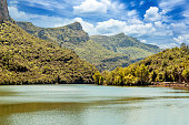 istock Lake in the forest 1366947464