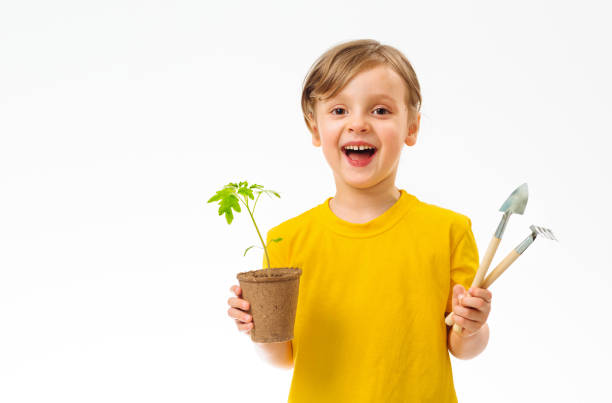 Seedlings grown in biodegradable pots. Girl transplanting plants at home into pots. Growing Together. Ecological farming. Growth concept