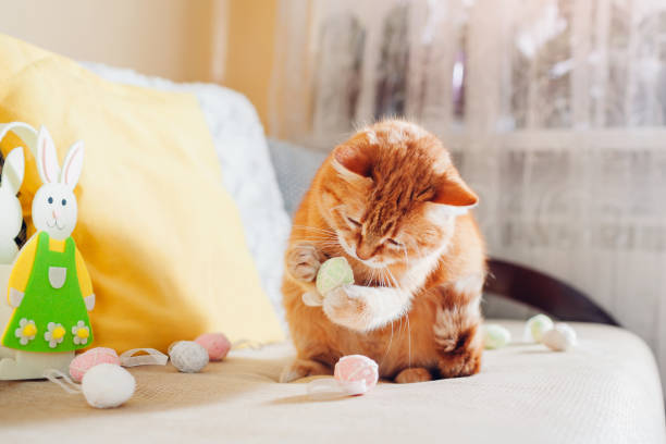 istock Ginger cat playing with Easter eggs at home. Pet having fun on couch. Spring holiday symbol 1366949576