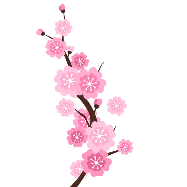 837 Jasmine Flower Pink Illustrations & Clip Art - iStock 837 Jasmine Flower Pink Illustrations & Clip Art - iStock