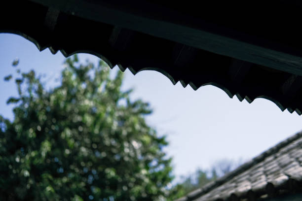 Chinese eaves in the sun