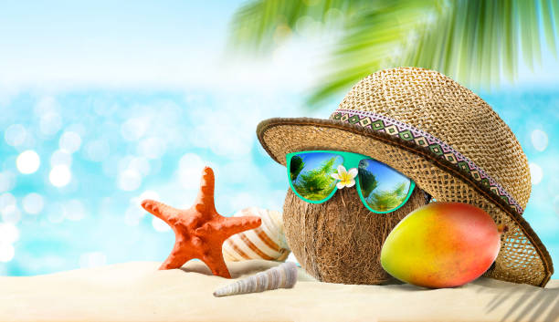istock Summertime vacation concept. Tropical holidays background. Copy space 1366952885