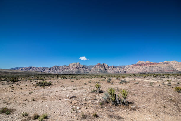 istock Las Vegas desert 1366955493
