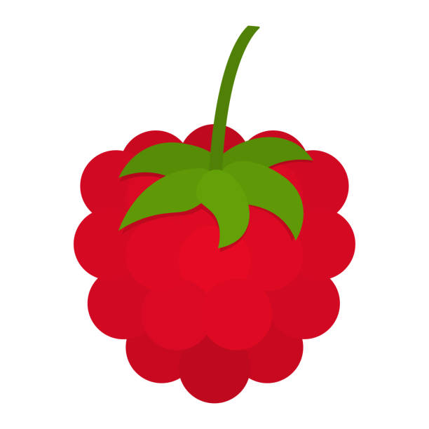 sweet raspberry icon clip art vektorillustration in cartoon animation obst und gemüse - raspberry stock-grafiken, -clipart, -cartoons und -symbole