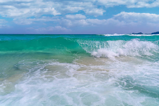 istock Big tropical ocean wave seashore with cloudy sky background 1366960887
