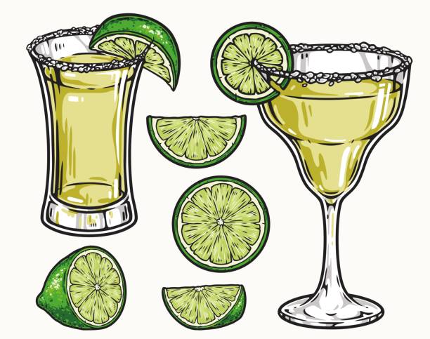 소금과 라임이 있는 데킬라 음료 - shot glass mexican culture lime alcohol stock illustrations