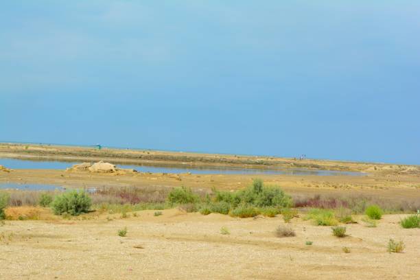 istock Nature by the sea 1366962208